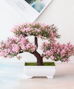 Japanese Bonsai Tree